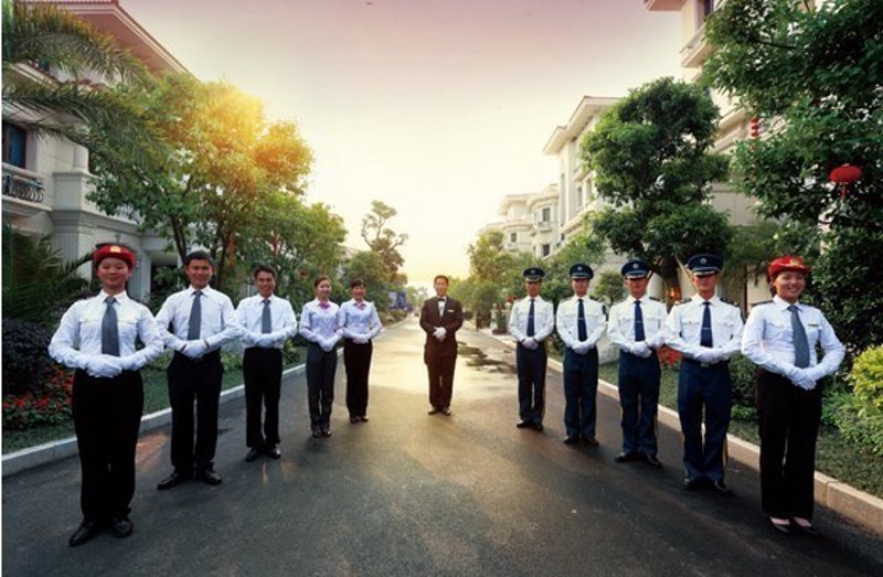 绿化养护：给城市呼吸的绿肺护航